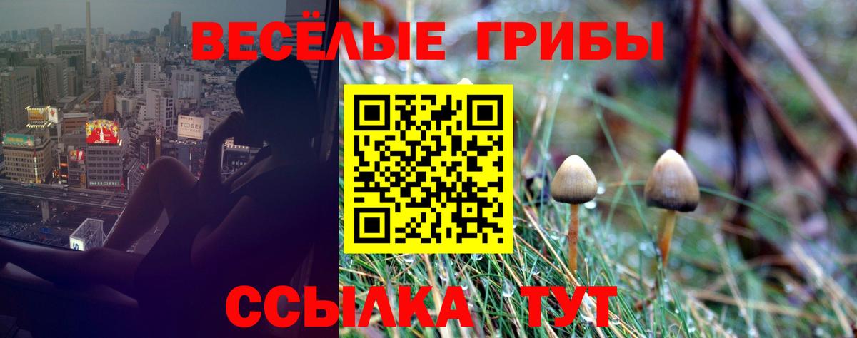 Галлюциногенные грибы ЛСД  Вход с VPN  Одинцово  Псилоцибиновые грибы Cubensis 