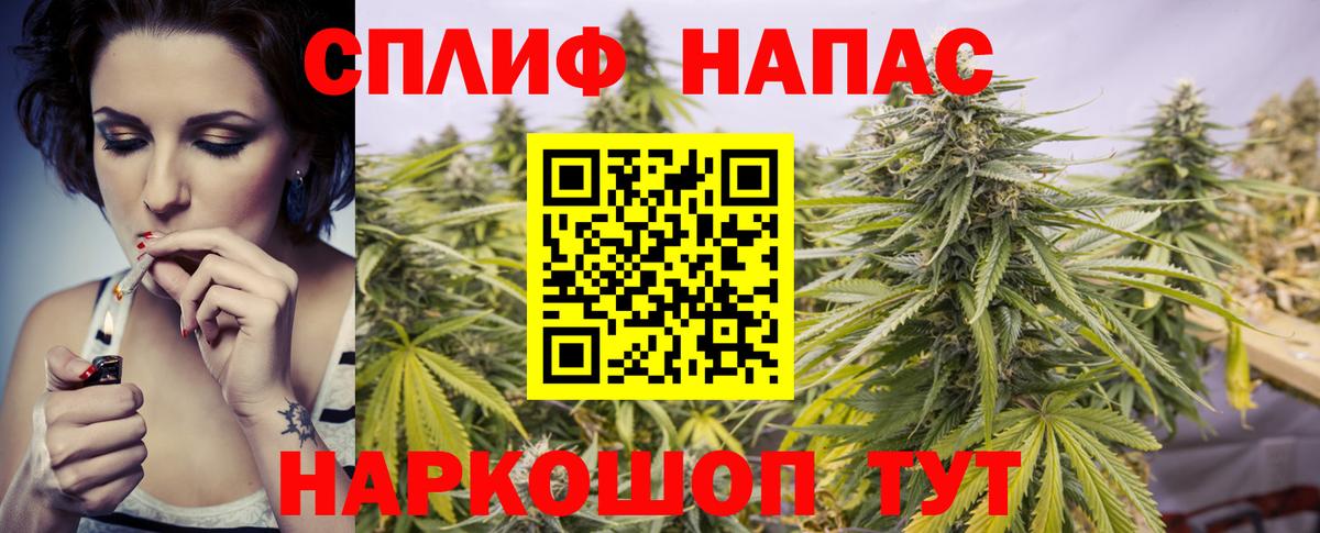Шишки марихуана тримм  Шишки марихуана тримм  Вход с VPN  Марихуана OG Kush  Одинцово  Бошки марихуана ГИДРОПОН 